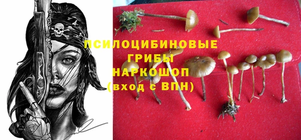 эйфоретик Алзамай
