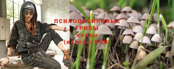эйфоретик Алзамай