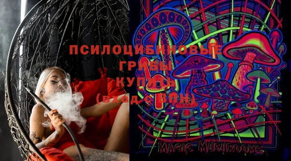 спиды Алексеевка