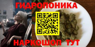 PSILOCYBIN Кизляр