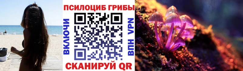 Псилоцибиновые грибы Magic Shrooms Апатиты