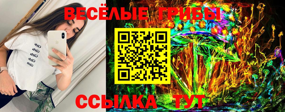 Апатиты  Галлюциногенные грибы MAGIC MUSHROOMS  Вход с VPN 