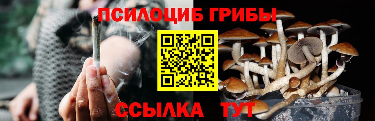 Псилоцибиновые грибы ЛСД Апатиты